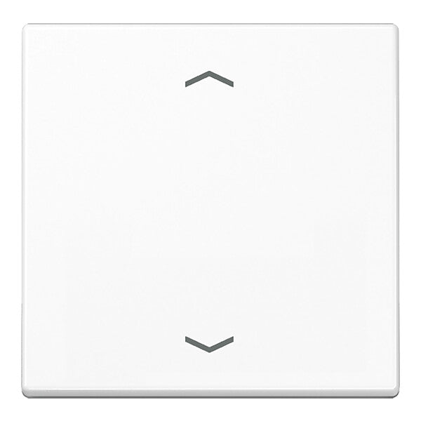 JUNG Wippe Symbole aws für Taster A 590 P WW